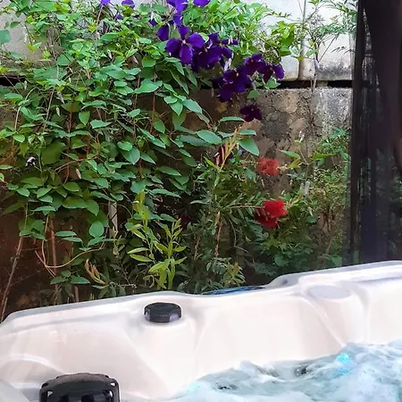 לינה וארוחת בוקר Dans Un Jardin Bb Et Jacuzzi *